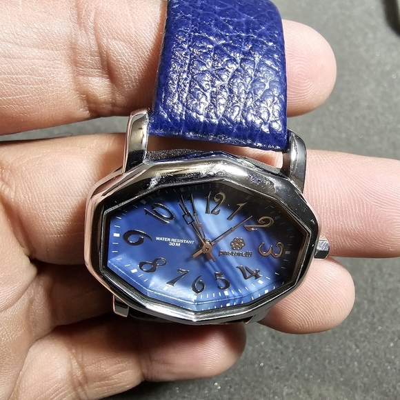 Pastorelli Ladies Quartz Watch Blue Dial Silver Tone Case Blue Strap Working sho - Picture 7 of 9